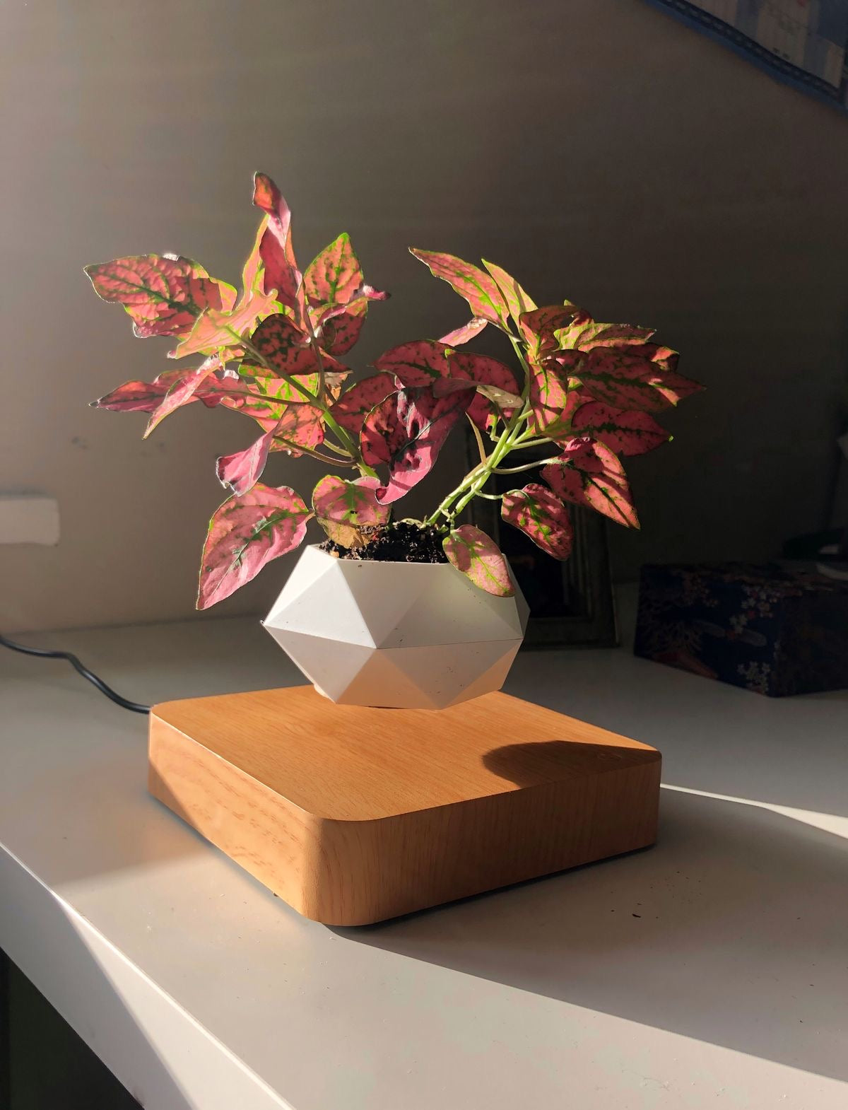Magnetic Levitating Flower Pot
